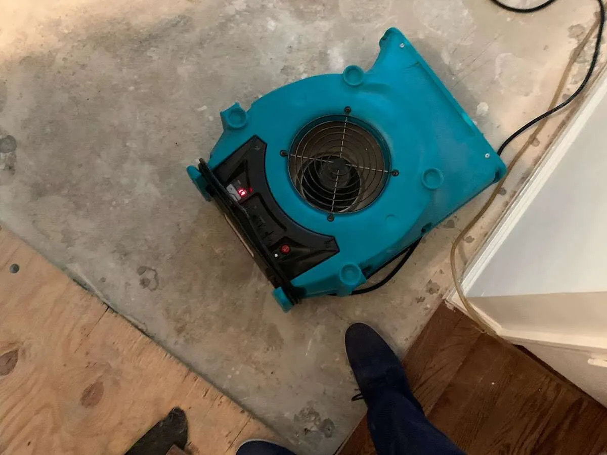 Air mover drying subfloor during Leak Detection & Repair in Luzerne