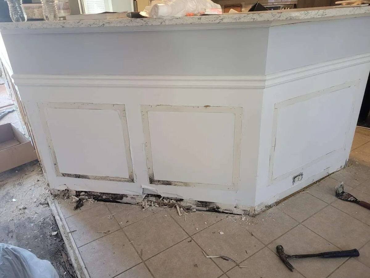 Water damage and mold on kitchen during Sewage Cleanup & Sanitation in Luzerne